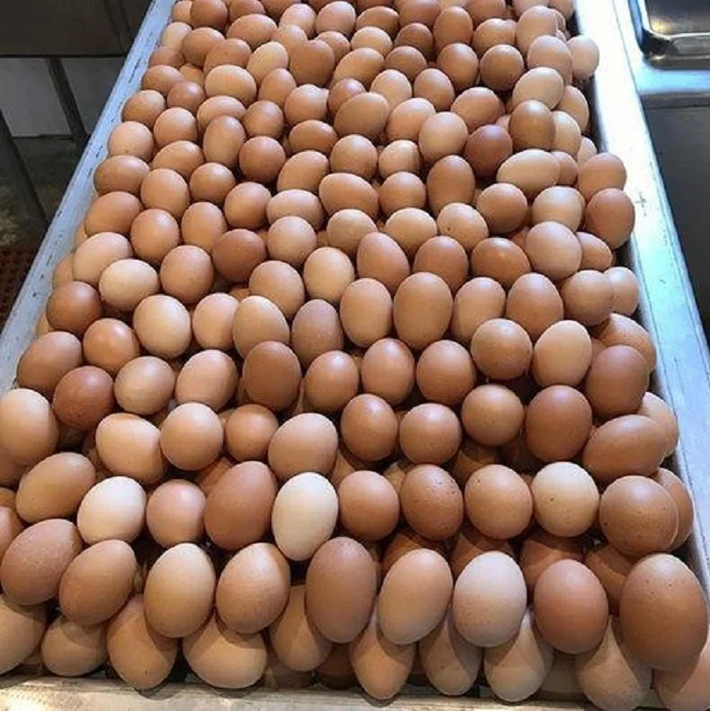 Fresh white Chicken Eggs3.jpg
