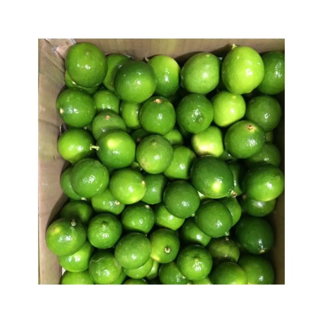 Fresh Green Citrus Fruit- Fresh Lemon In Vietnam From Farm Wholesale Fresh Lime