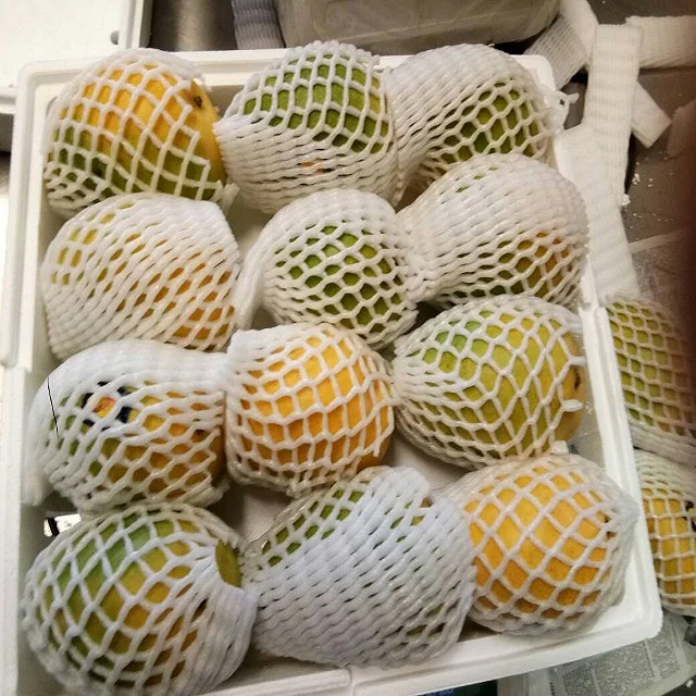 Unmatched Banganapalli sweetness of Mango Export to  Tunisia /   Somalia / Kenya /   Zimbabwe from India