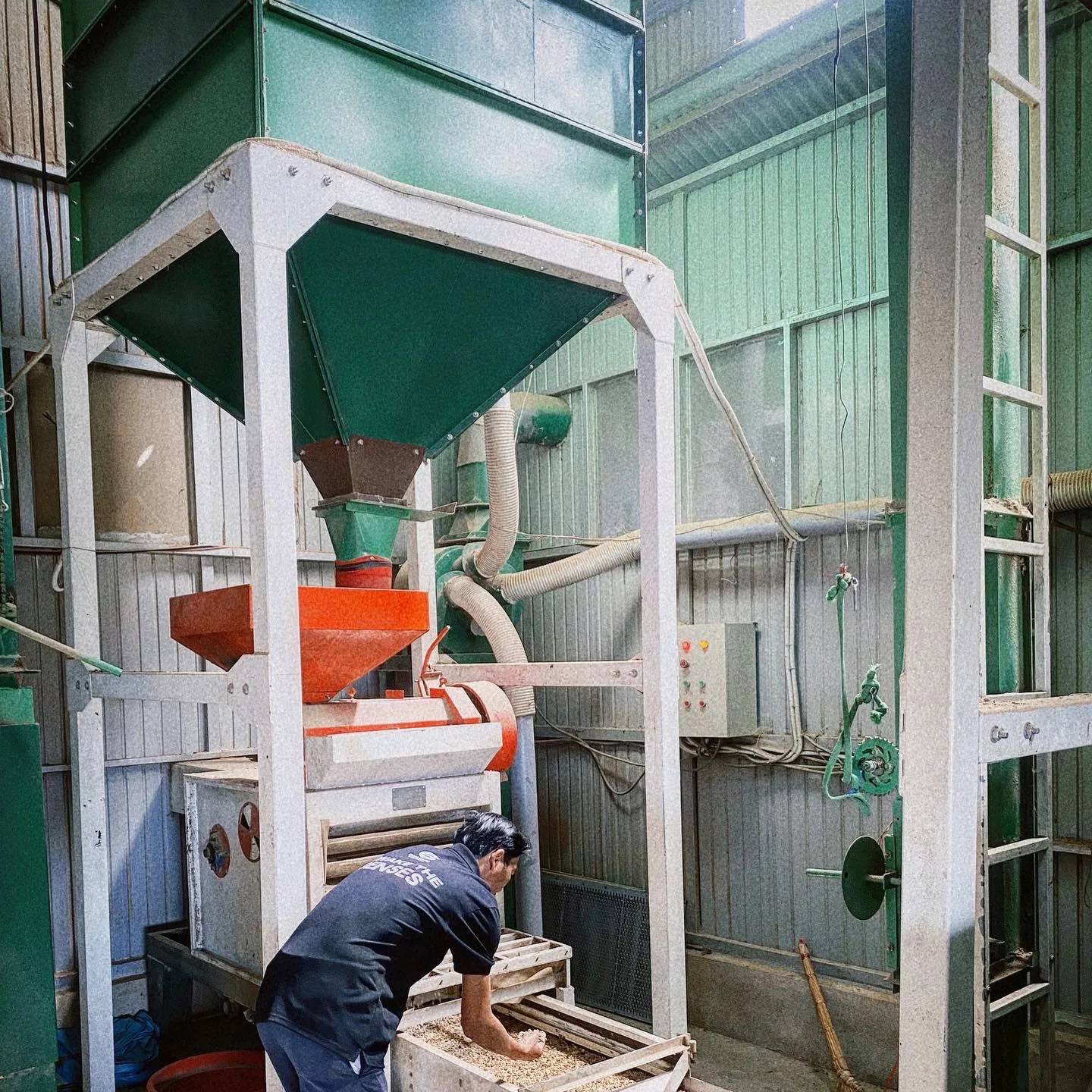 Unroasted Arabica Coffee Beans Wash Process Natural Flavor High Quality 18 Month Shelf Life from Di Linh Plateau of Vietnam