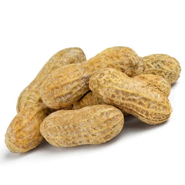 High Quality Raw Peanuts Without Shell Raw Peanuts Peanuts Peanut Harvester Agriculture