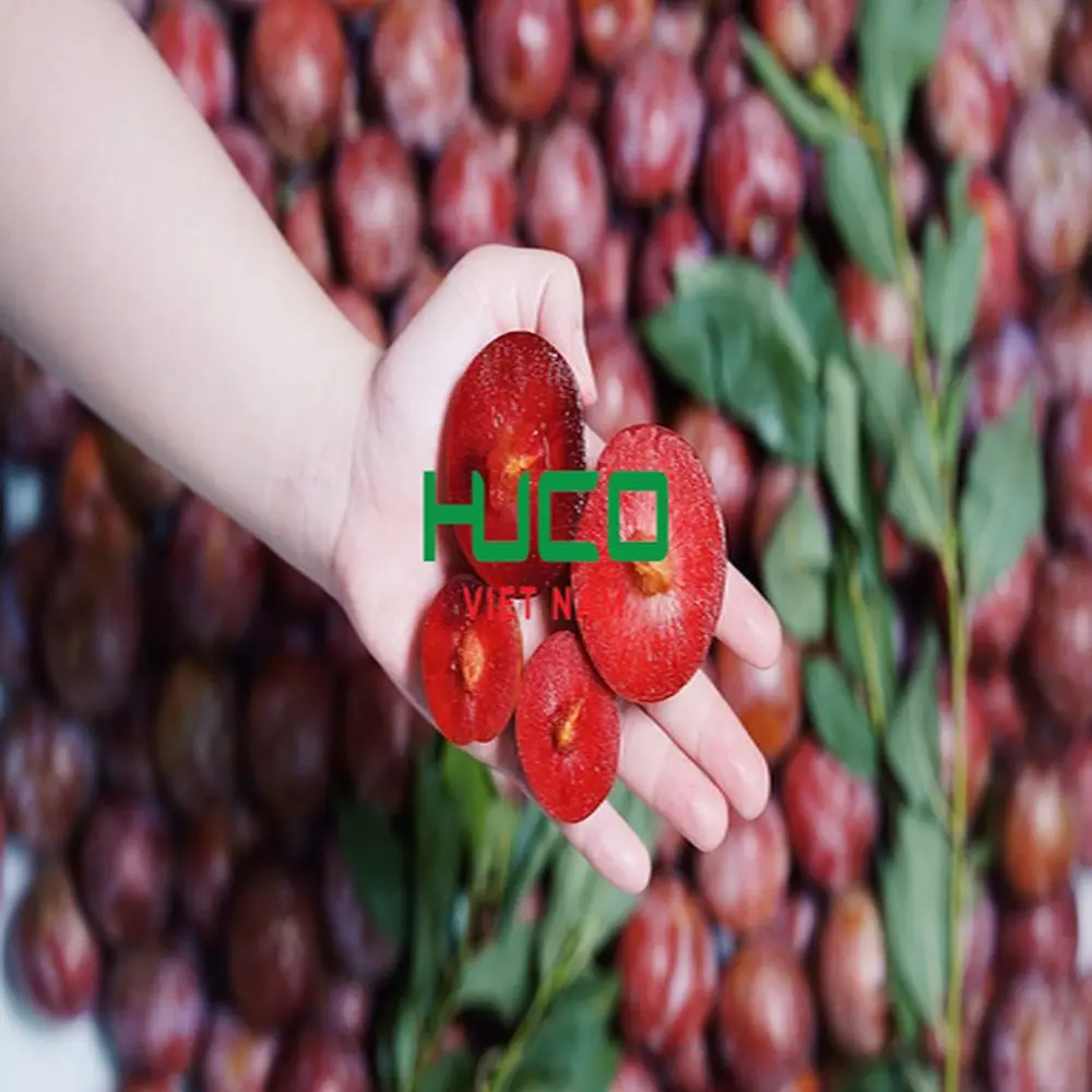 New Harvest Plums Vietnam Fresh Plums Red shell Fresh Fruit Production Of Non chemicals
