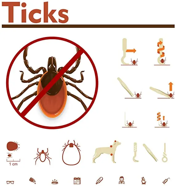 Professional Double Sided Stainless Steel Tick  Remover Tweezers Tick Remover Tool for Pets/ Professional Tick Tools