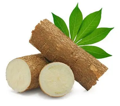 Wholesale Fresh Cassava Available For Export Worldwide
