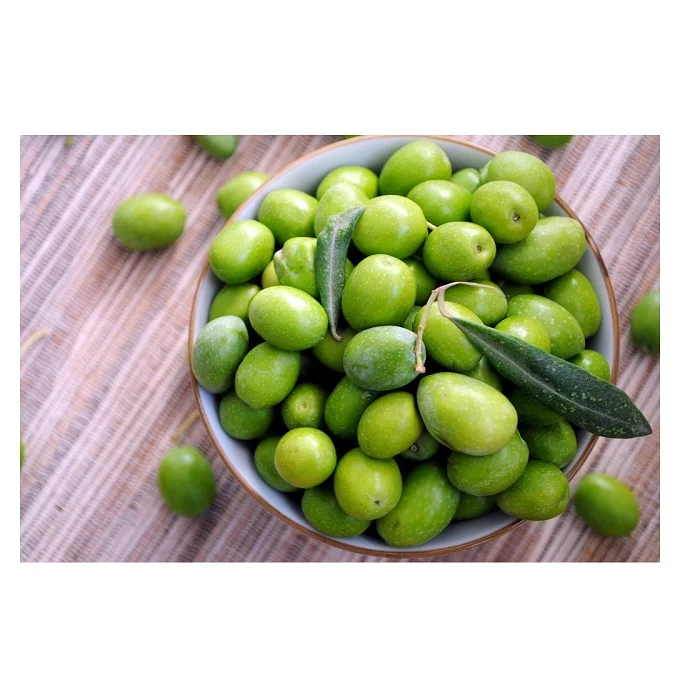 Best Quality Fresh Green Olives