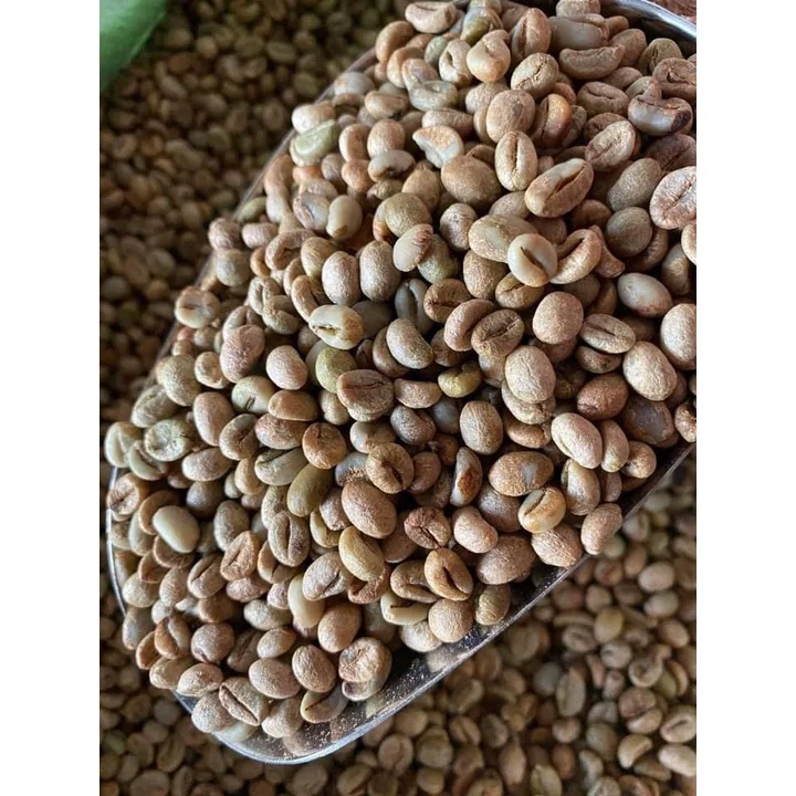 VIETNAM NATURAL SCREEN 16 WET POLISHED ROBUSTA GREEN COFFEE BEAN Wholesale WHATSAP 0084989322607