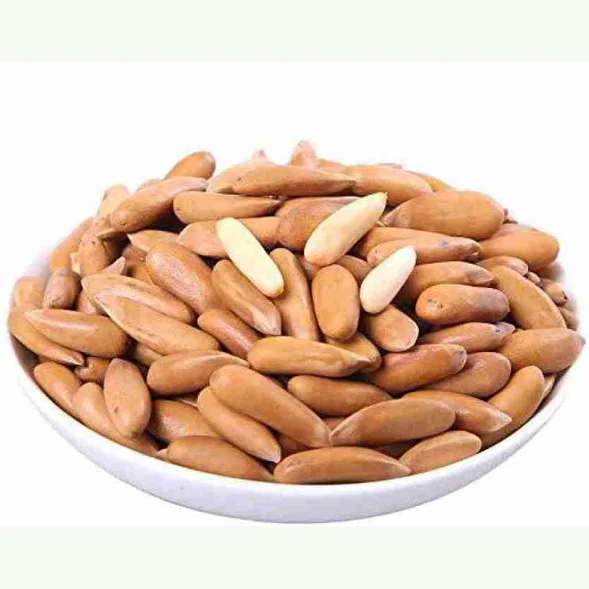 Bulk Organic Pine Nuts at Wholesale Prices High Quality Low Price Organic Pine Nuts for Sale Good Price