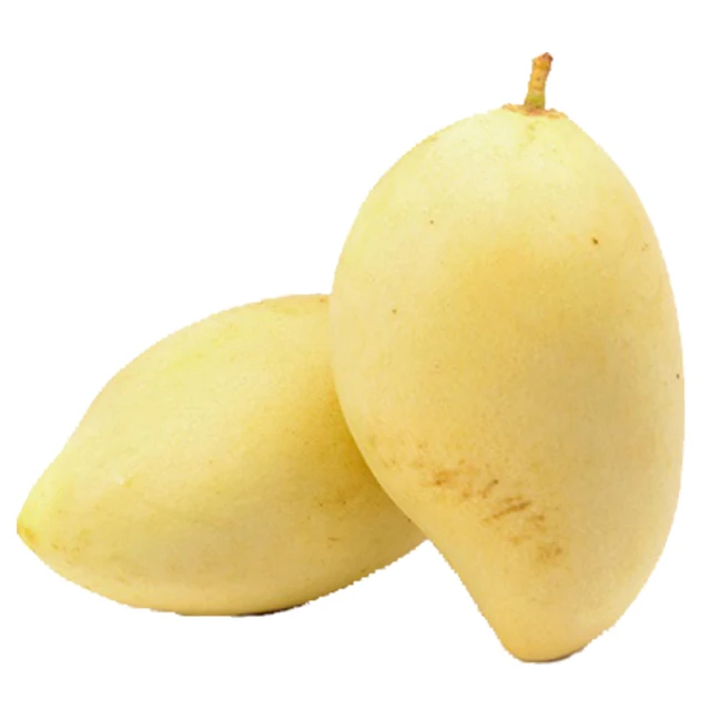 Vietnam Mango Sand Mango For Export Cheap Price With High Quality