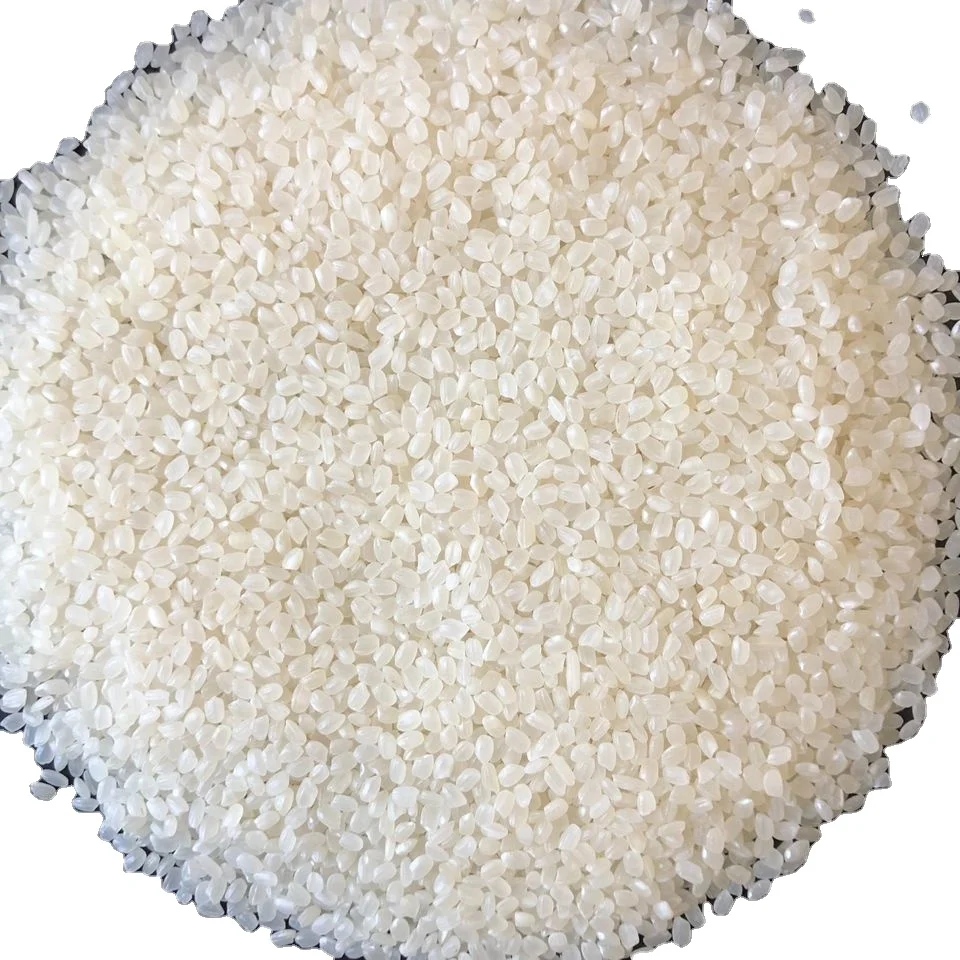 Japonica The Best Short Grain Rice Vietnam Japonica Rice Japonica Rice Supplier Exporter Wholesale Trader |