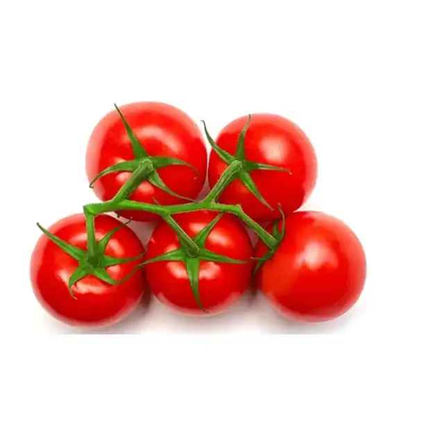 Hot Selling Thailand Origin Fresh Tomato Red Cherry Style Fresh Cherry Tomatoes at Competitive Price