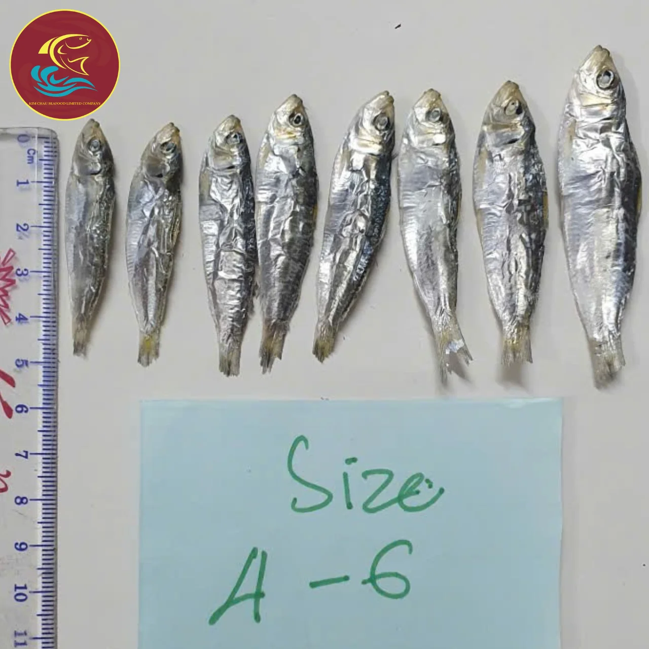 High Nutrient Dried Anchovy Fresh Sun Dried Premium Vietnamese Seafood Rich in Omega 3 Available in Bulk for Wholesale