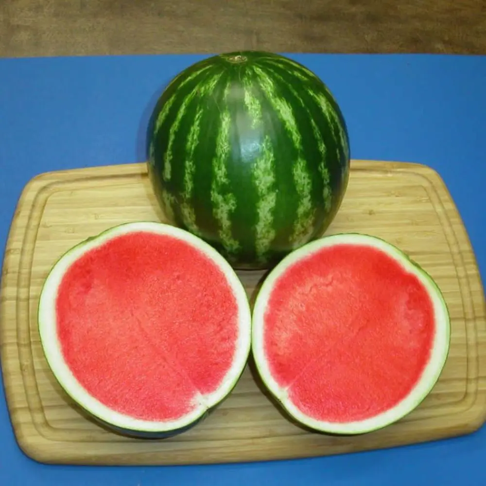 watermelon crimson sweet  OP verity in sachet packing exporting to Yemen