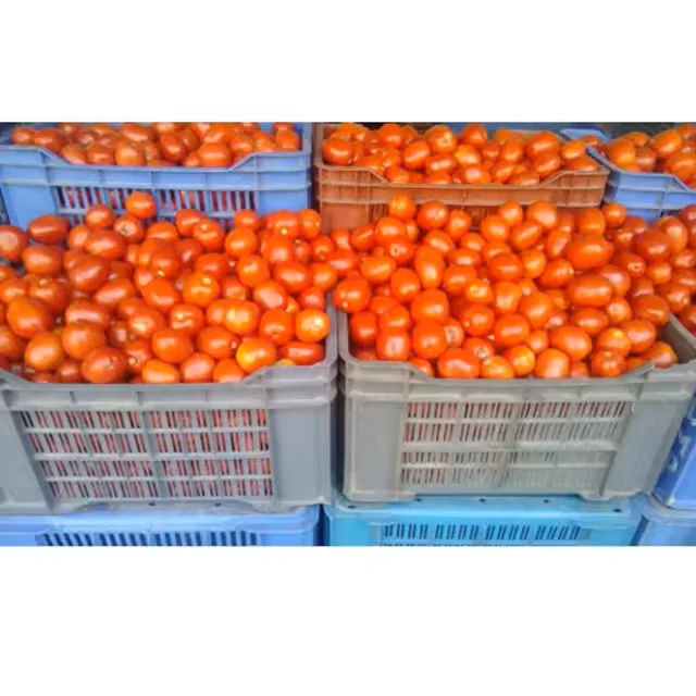 Naturally Grown Cherry Tomatoes Cherry Tomato High Quality Premium Vegetable Food Product Wholesale Reasonable Price