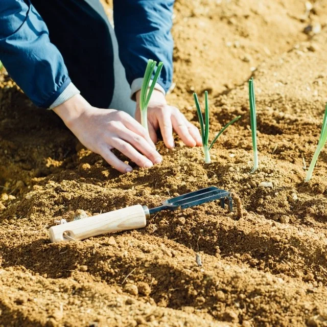 Premium Quality Super Strong Gardening Folk Hoe With Cationic Coating Tines, Ergonomic Handle Garden Fork