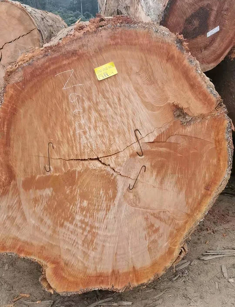 Timber Raw Materials & Logs Wood For Sale