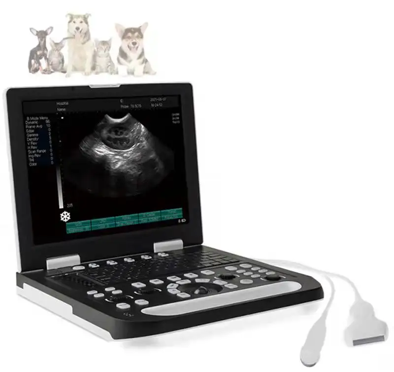 N50 manufacturer direct selling portable animal ultrasound scanner cattle and horses animal veterinary ultrasound probe