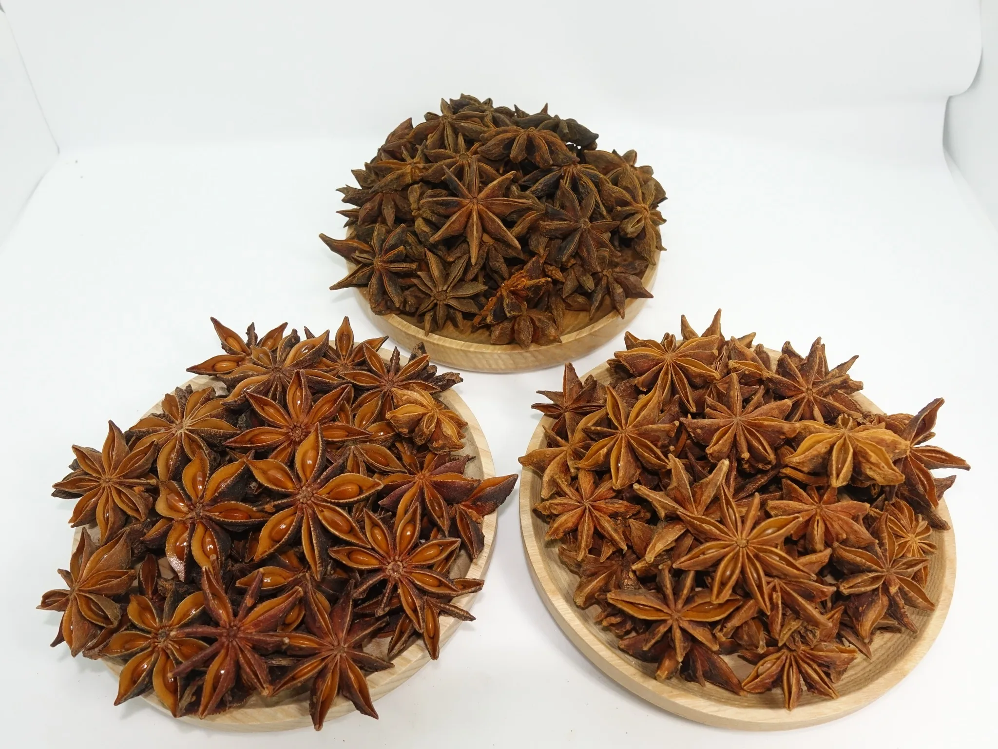 High Quality Dried Star Anise New Crop Spices for Cooking Wholesale Bulk Cinnamon Seed and Herb at Low Prices