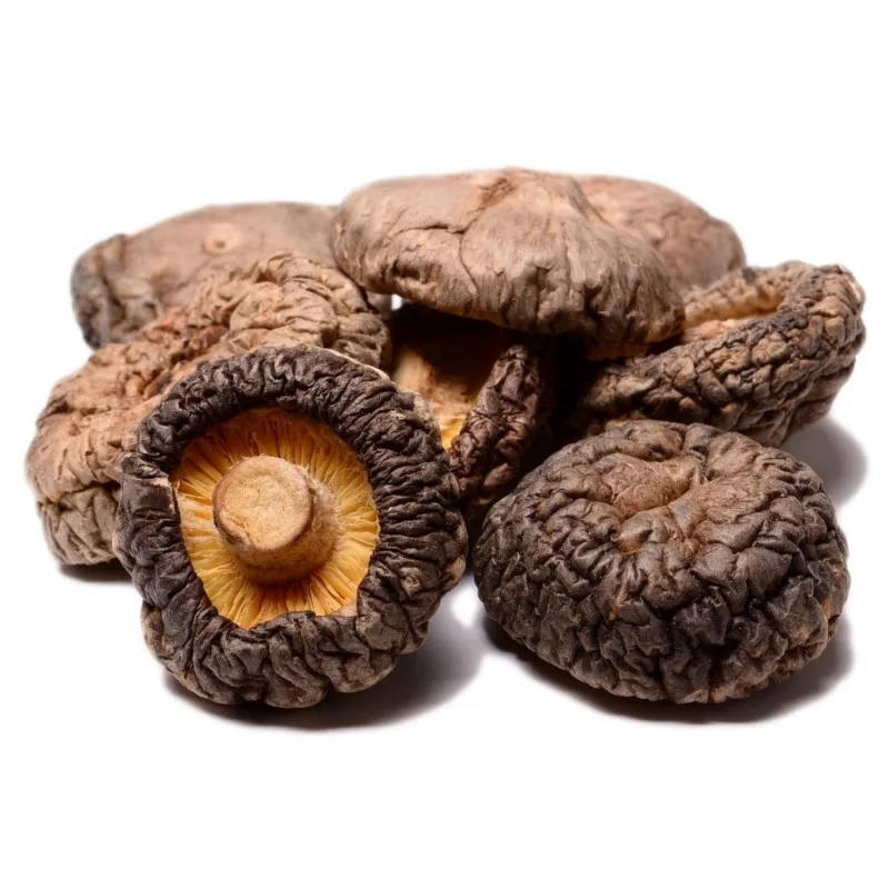 Detan Organic Shiitake Mushrooms/ Cultivated Edible Fungus Dried Shiitake Mushroom - Ms.Shyn Tran +8438208910