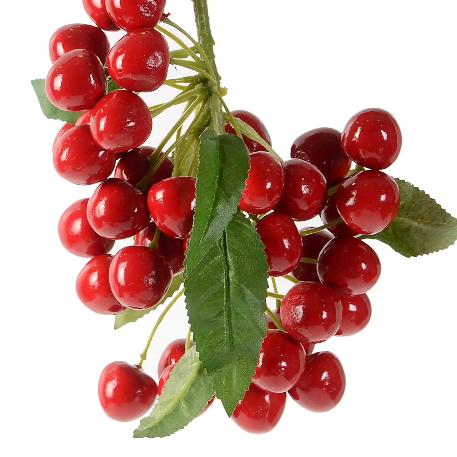 Red Sweet Cherry / Fresh Chery Fruit Suppliers