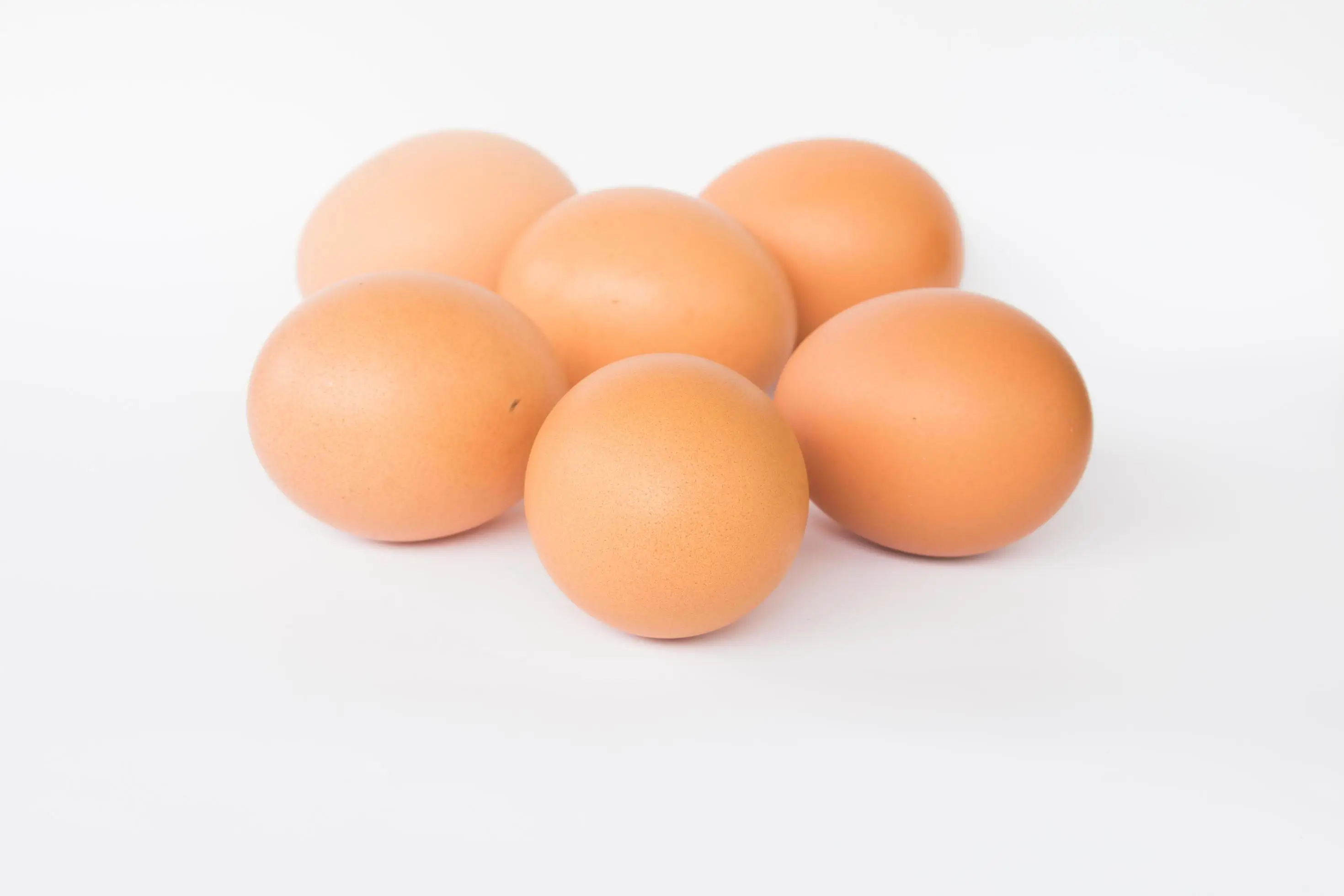 Organic Brown / White Fresh Chicken Table Eggs