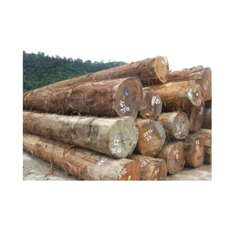 Доступные оптовые деревянные бревна Sapele для продажи отлично подходит мебели пола и всех ваших усилий по деревообработке