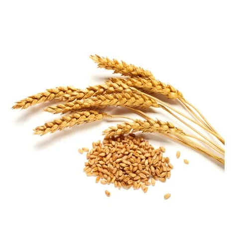Cheapest Price Supplier Bulk Natural Soft Wheat Grains With Fast Delivery