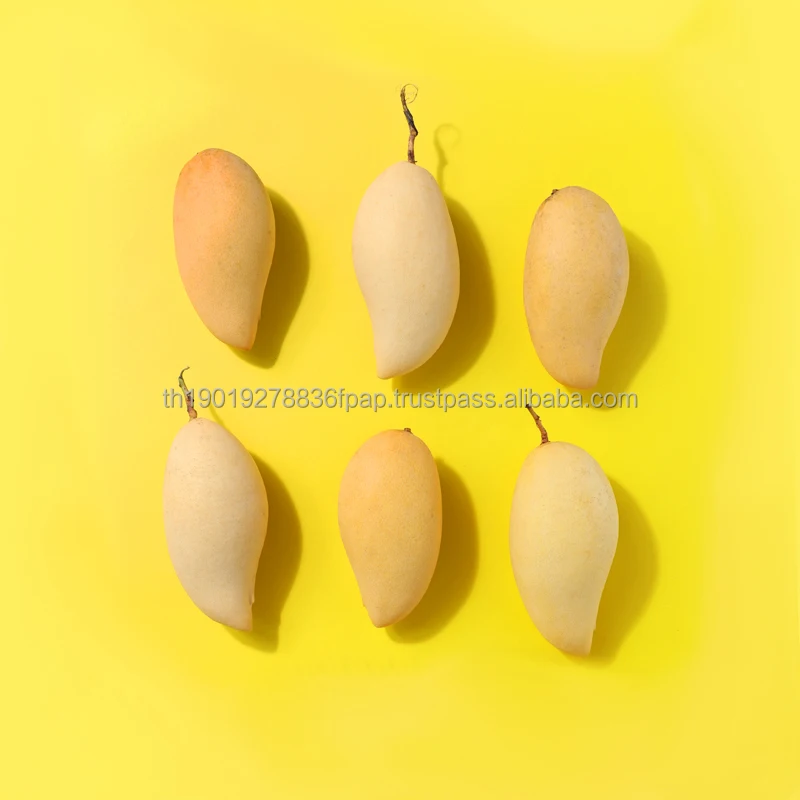 Fresh mangoes produced in Vietnam with high quality for export to Europe and Asia