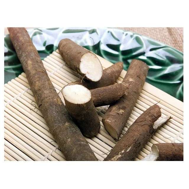 Лучшая заводская цена на натуральные свежие овощи Burdock доступно в большом количестве