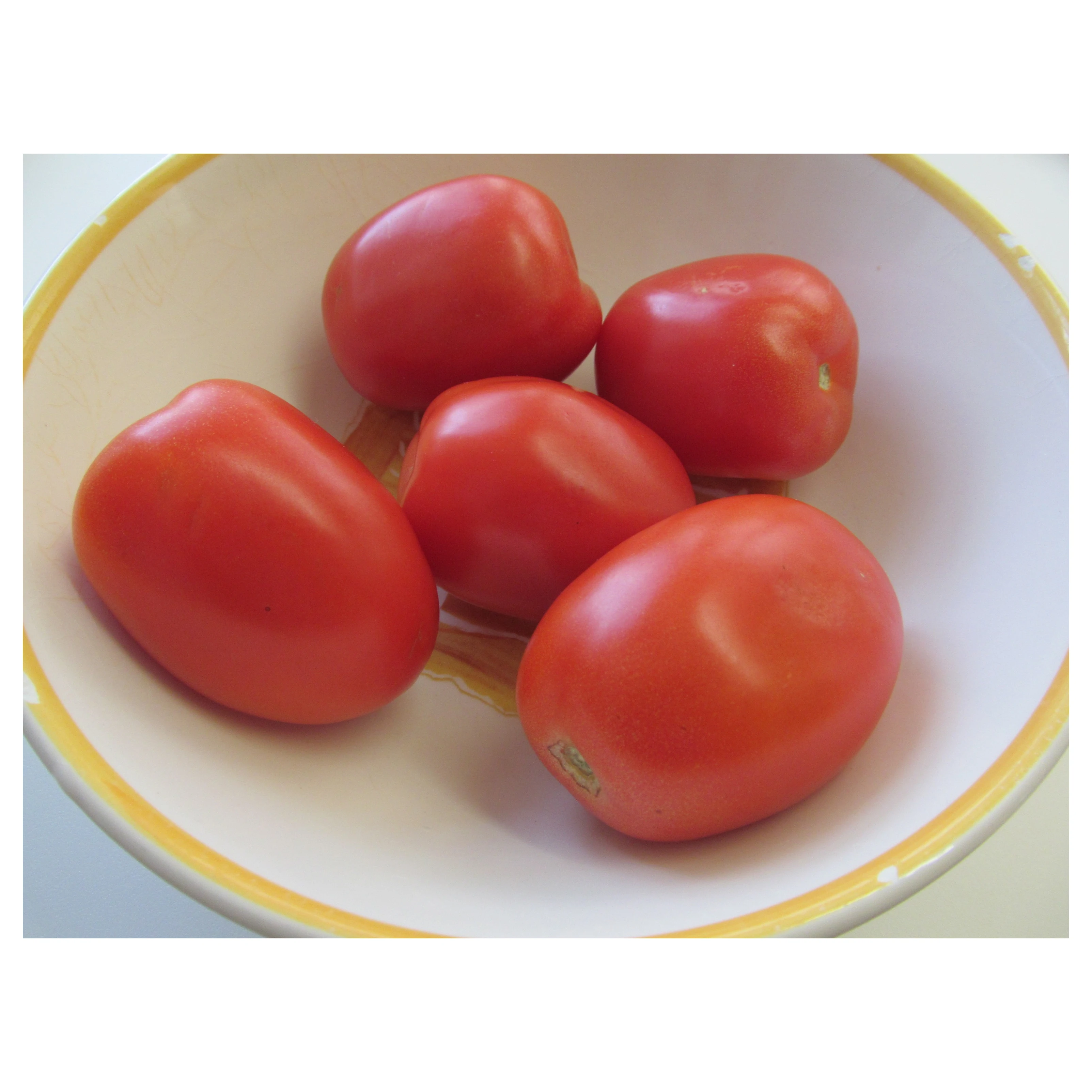 New Arrival Highest Quality Organic Fresh Red Tomatoes from Trusted Global Manufacturer and Exporter