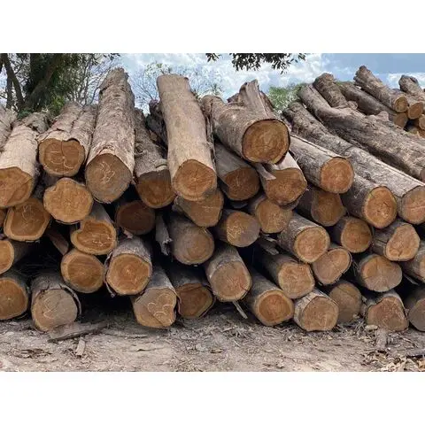 Вьетнам Лучшая цена и высокое качество натуральная Тиковая древесина/Чистая бюрма древесина (пиленая) для европейского рынка