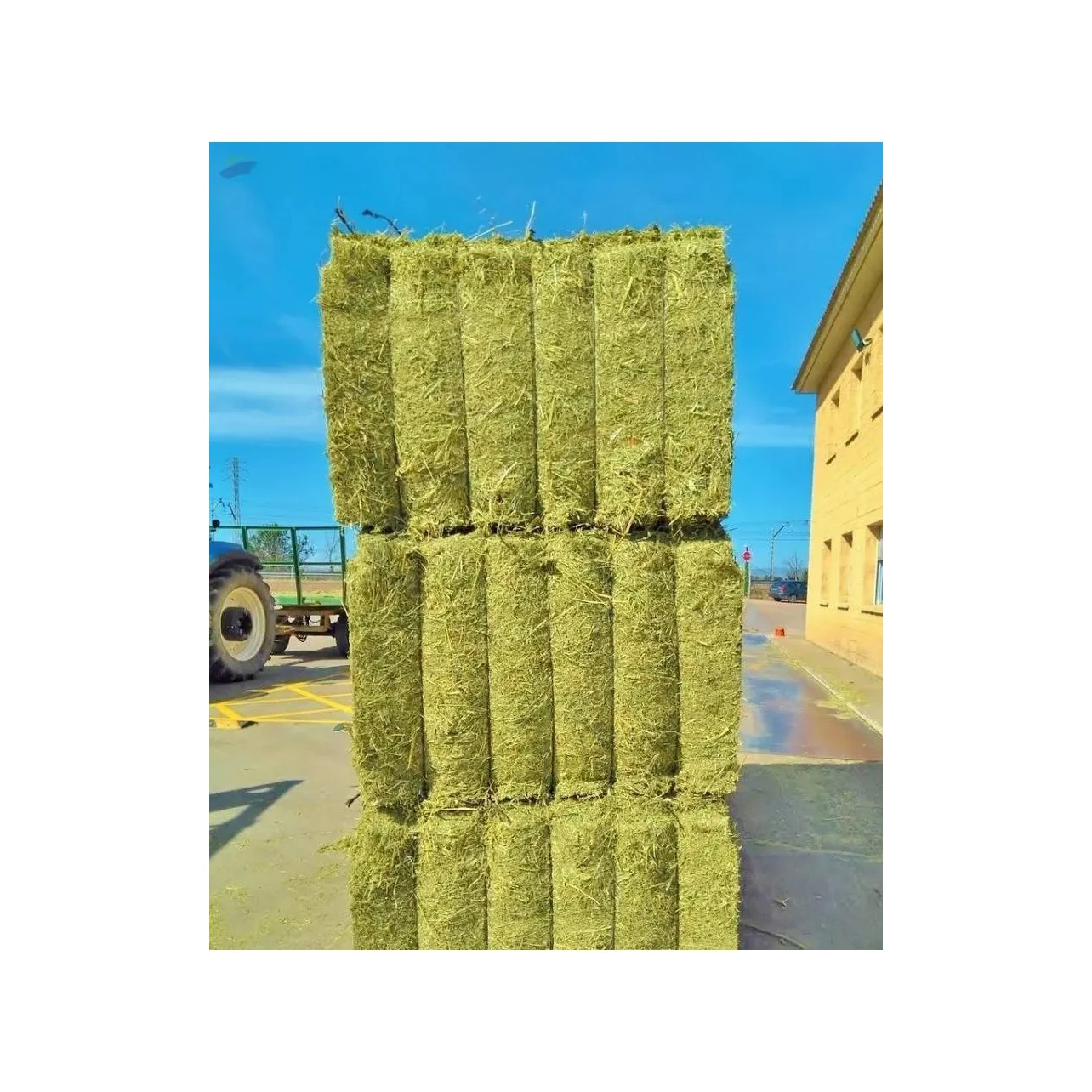 Alfalfa Hay Animal Feeding Stuff Alfalfa, hay/alfalfa hay pellets