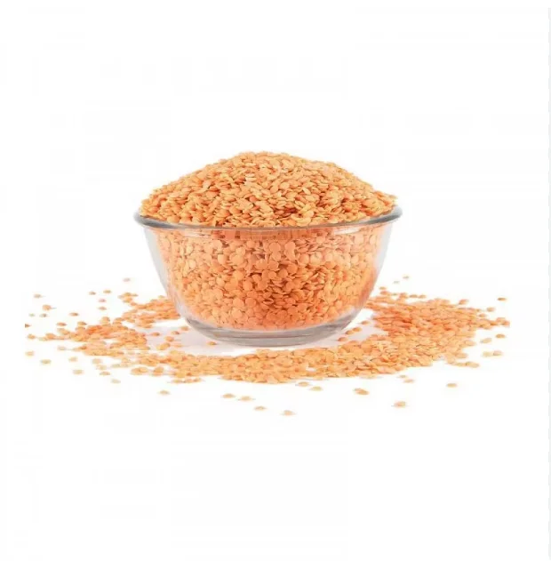 TOP QUALITY LENTIL BEANS FOR WHOLESALE PRICE FOR SALE