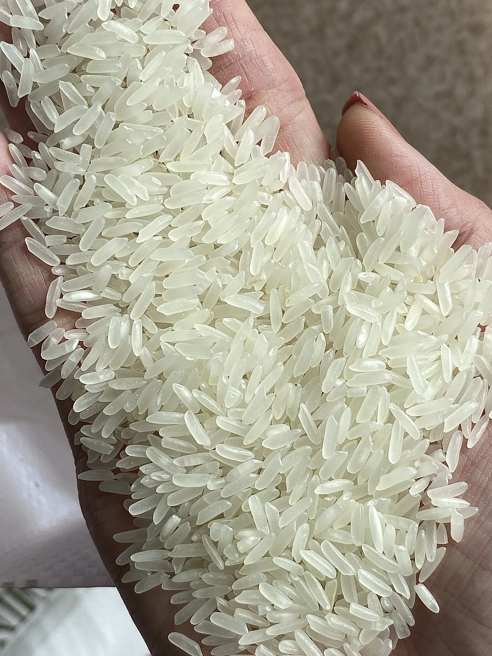 Jasmine Rice 5% broken Long Grain High Quality Export Purchase - Vietnam rice riz riso - WhatsApp/Viber:+84-975807426 Lucy