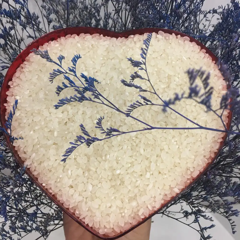 SUSHI RICE FACTORY PRICE COMPETITIVE PACKAGE CUSTOMIZE LOW MOQ HIGH QUALITY FROM JCC VIETNAM RICE SUPPLIER