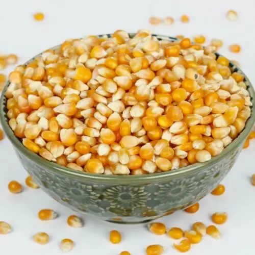 Кукуруза для