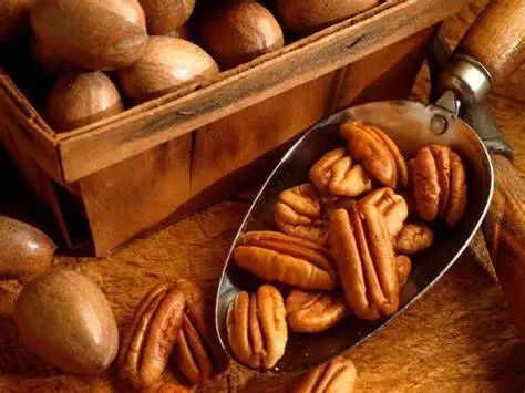 High Quality Pecan Nuts Wholesale