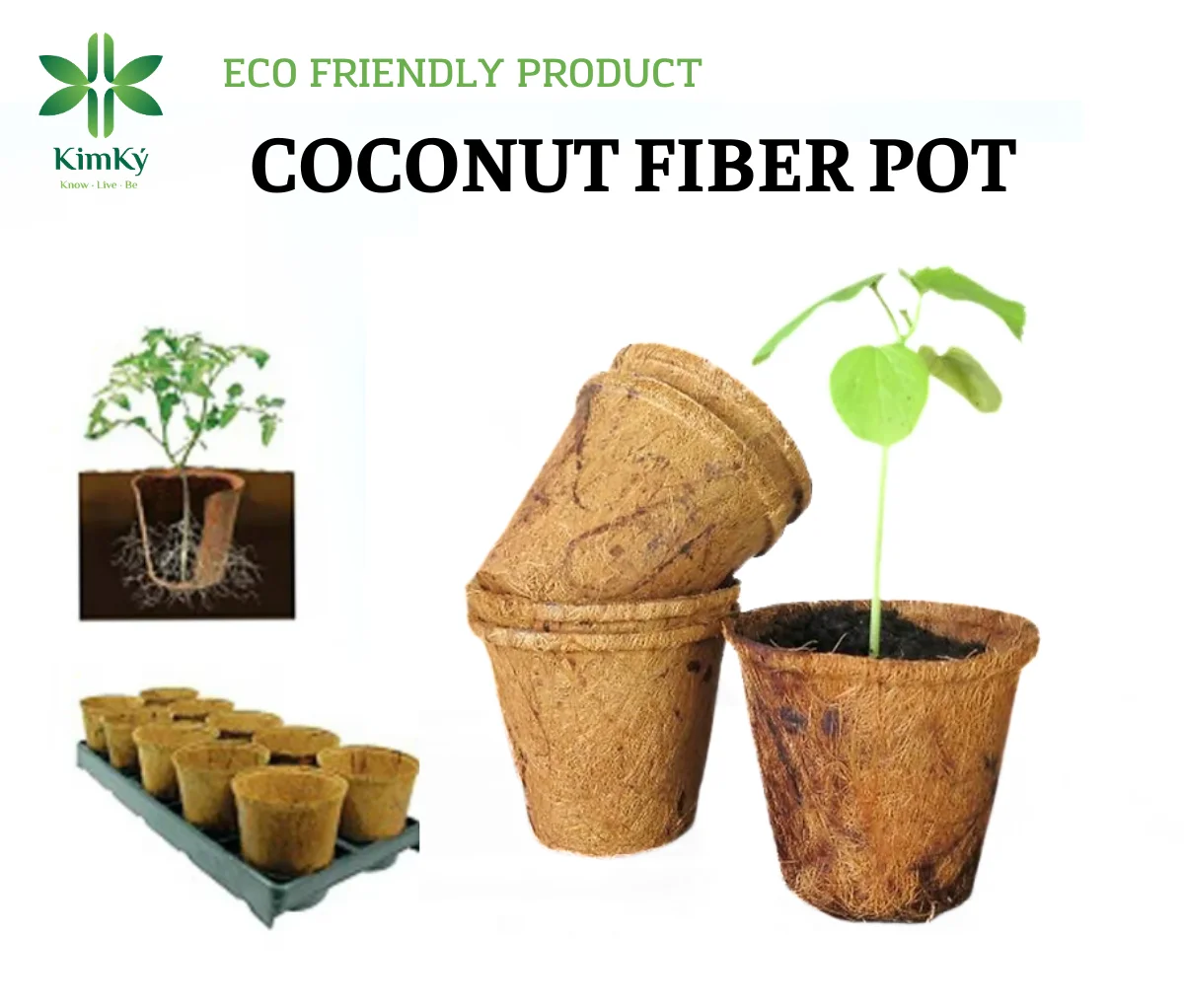 VIETNAM HOME GARDENING ORIGINAL COCO PRODUCT COCONUT FIBER POT FOR GARDEN FLOWERS GROWING PLANT HIGH 11.5cm x WIDE 12cm 2024