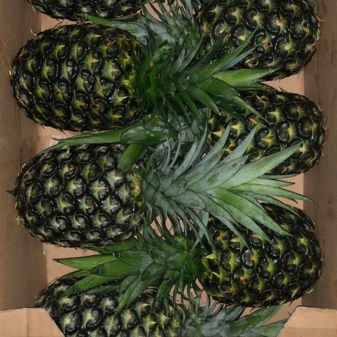 2023 свежеобрезанный сочный индийский ананас MD2 индийское качество свежий Золотой оптом по низкой