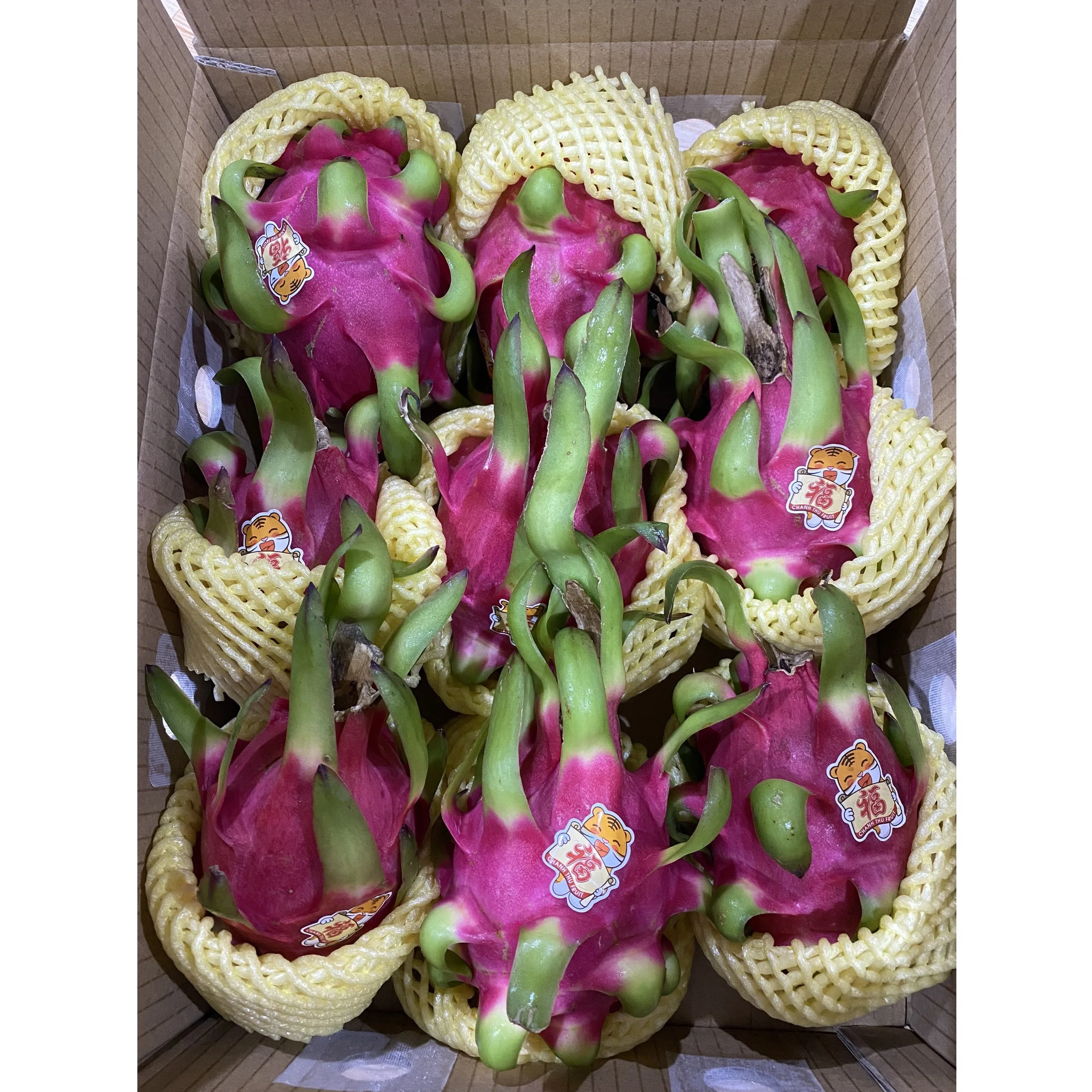 Carton Box Tropical Dragon Fruit Fresh Organic Sweet Taste 380-780g Dragon Fruit With Red Flesh And White Flesh