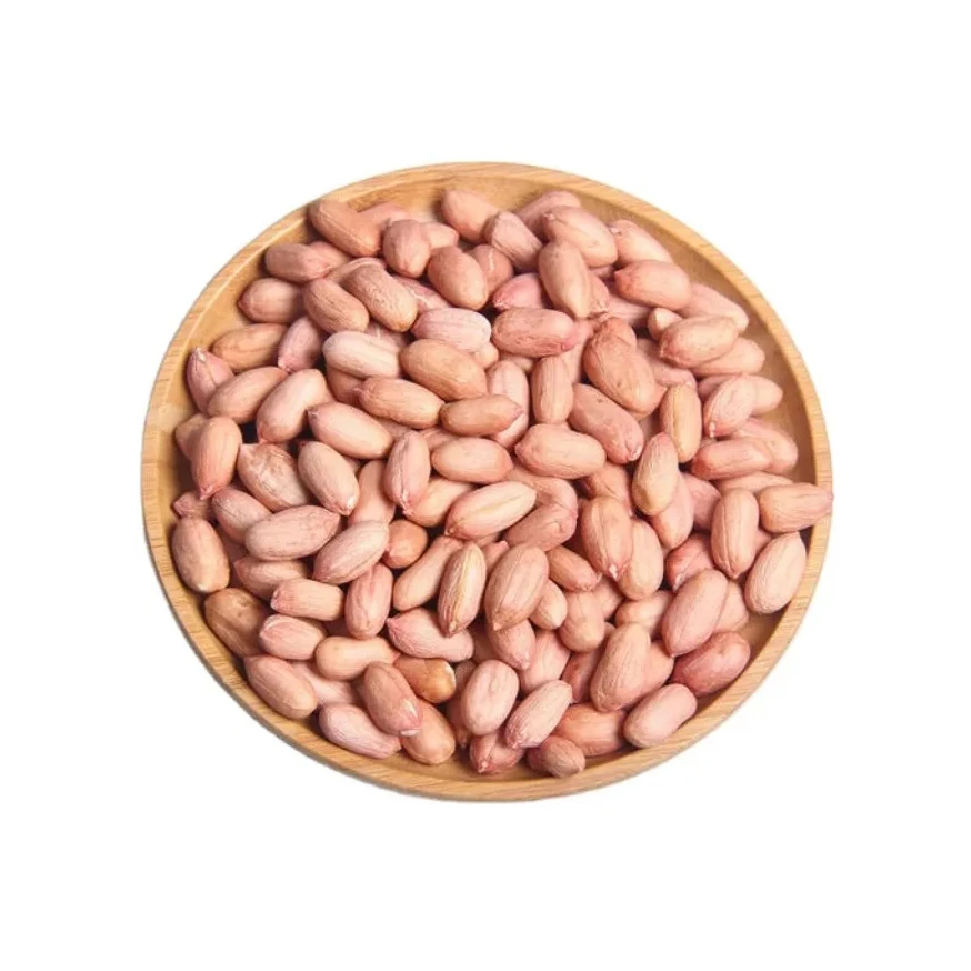 Red Skin Peanuts / Blanched Peanut Kernels / Roasted and Salted Redskin Peanuts
