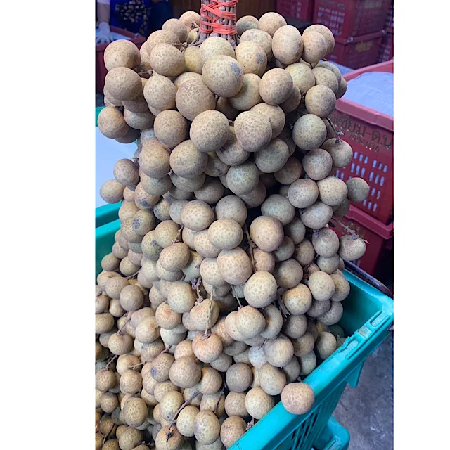 Горячая Распродажа, лучшее качество, сладкий Лонган из Таиланда