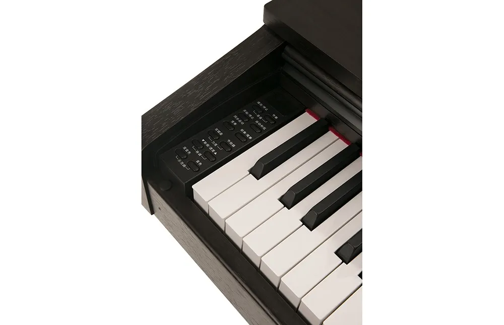 Style Upright 55kg Brilliant Design Sound Weight Musical Instruments - 88 Keys TMW 520 Digital Piano from Singapore