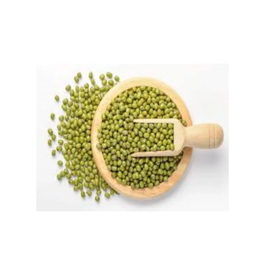 Finest Grade Of Green Mung Bean RL Supply Brand Quality Product From Thailand Manufacture Export Market