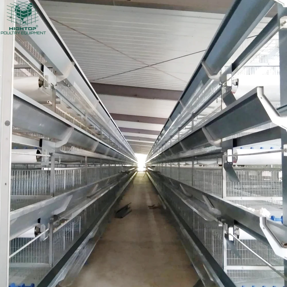 Cheap Fully Automatic Poultry Vertical H Frame Metal Hot Dipped Galvanized Wire Mesh Chicken Battery Layers Cages In Philippines