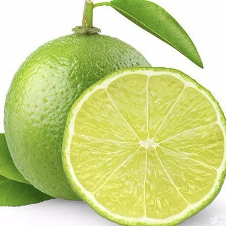 Wholesale High Quality New Harvest FRESH SEEDLESS LIME LEMON From Viet Nam