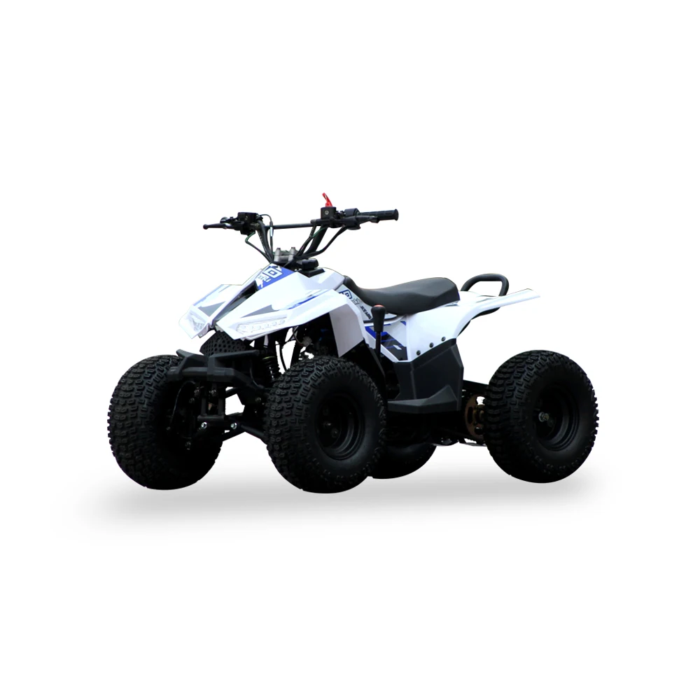 Hight quality 110CC  1+1 automatic transmission for kids four-wheel off road Beach Buggy utv for adults