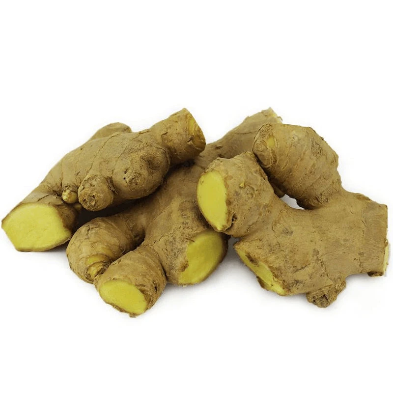 Typical hot spicy oil content 1 To 4% Old Ginger Fresh ginger With Weight 100gr 150gr 200gr 250gr