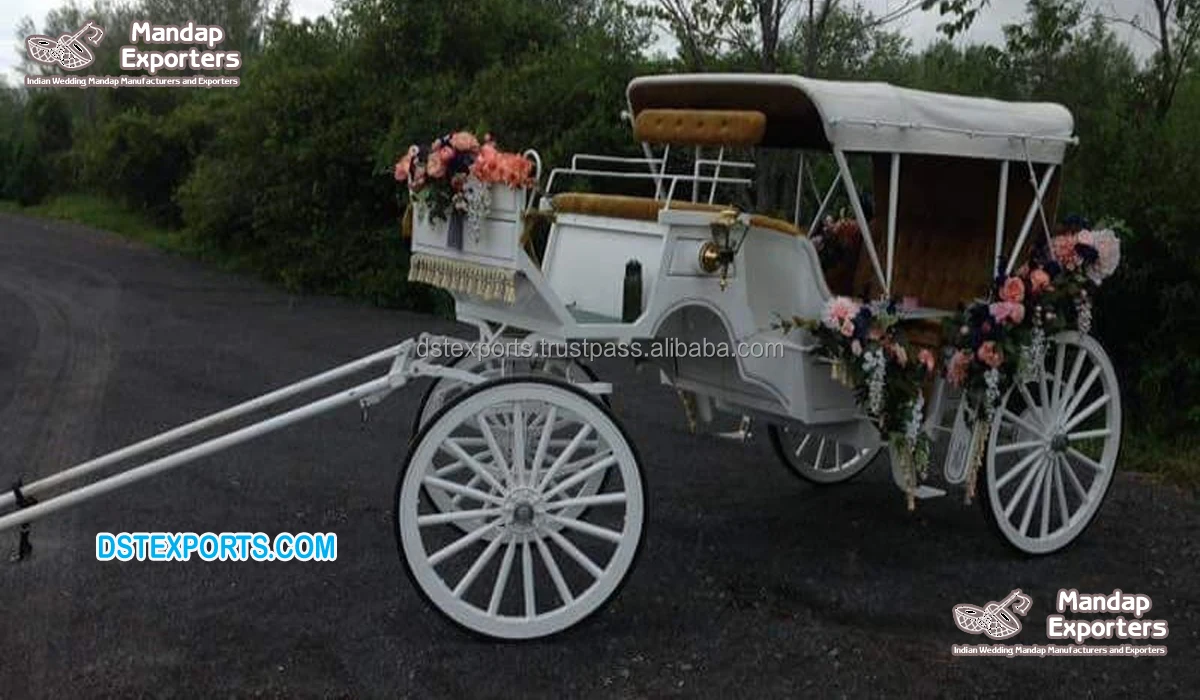 Стильные кареты лимузина, тянутые лошадью, экспортеры Vis A Vis, каретка для лимузина, новейшая каретка на 6 мест