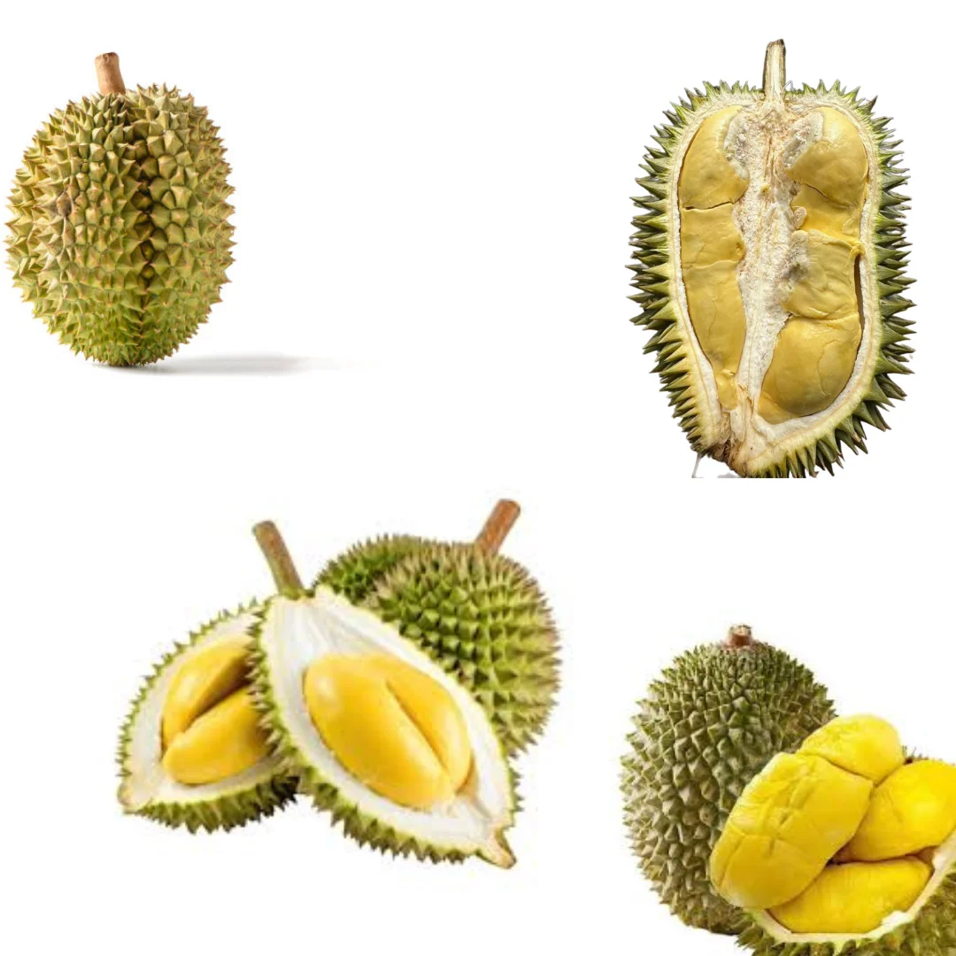 The Best Fresh Durian , Tropical Fruit, Vietnam Export products to China, Thailand, Malaysia, Turkey uDrian Paste
