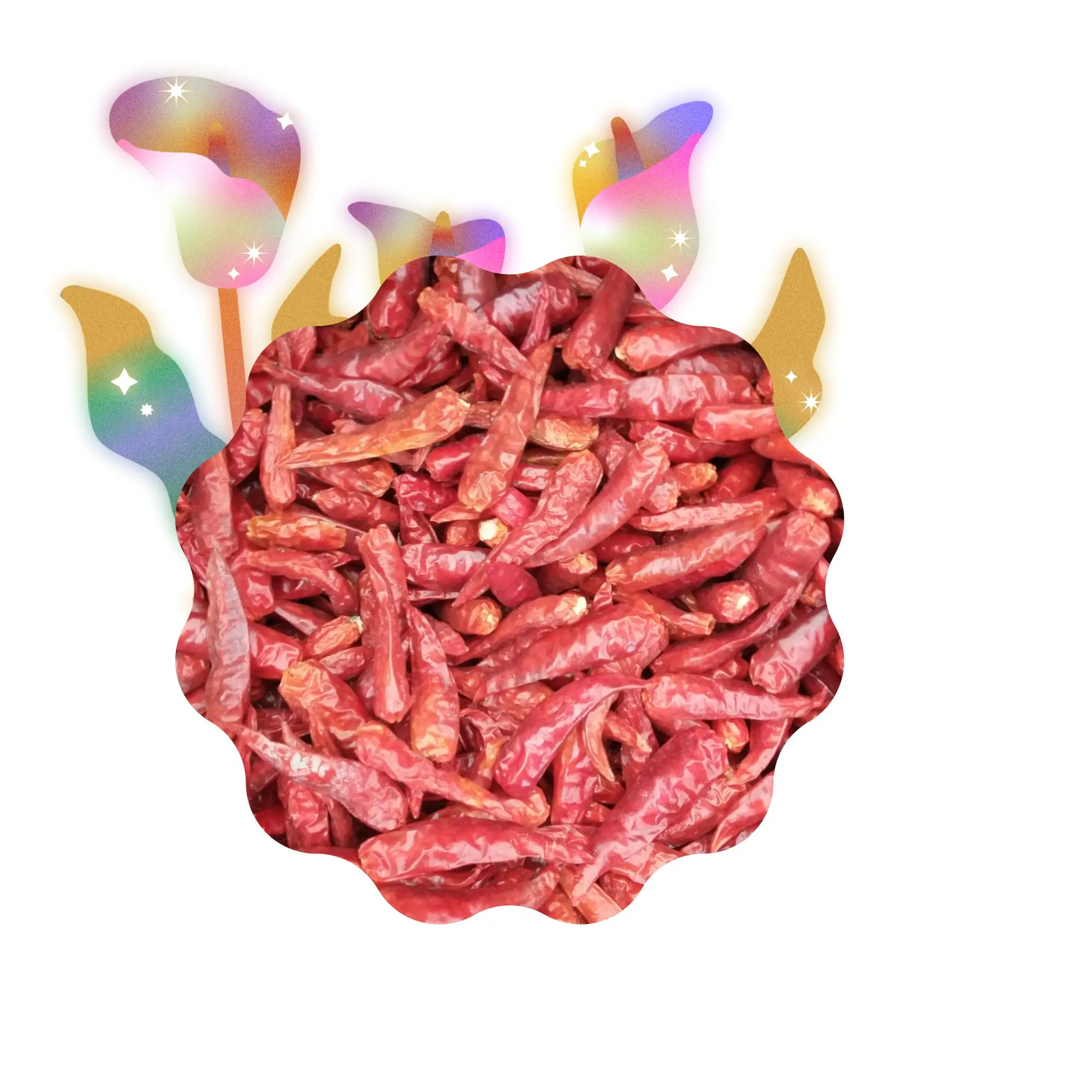 Viet Nam Dried Red Chilli With Stem Without Stem Stalk AD Drying Process Type 10-13% Max. Moisture All year round